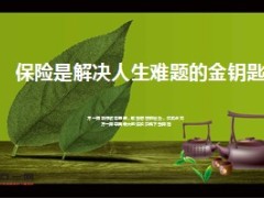 保险是解决人生难题的金钥匙8页.ppt