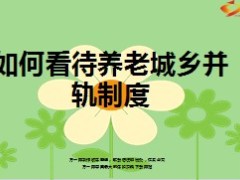 如何看待城乡养老并轨制度9页.ppt