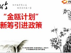金瓯计划新筹引进政策方案35页.ppt