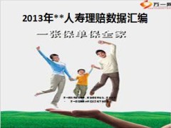 2013泰康人寿保险理赔数据20页.ppt