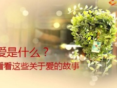 2014新版寿险意义与功用20页.ppt