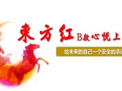太平洋2014东方红B款心悦上市介绍12页.ppt