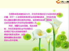 阳光人寿丽人保险产品分析销售要点工具指南26页.ppt