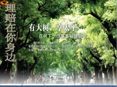 太平人寿保险理赔统计案例28页.ppt