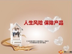 人生风险保障产品8页.ppt
