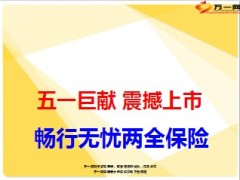 新华畅行无忧两全保险培训及产说会版28页.ppt