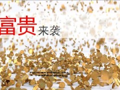 生命富贵花保险产品分享27页.ppt