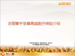 农银寰宇至尊高端医疗保险介绍11页.ppt