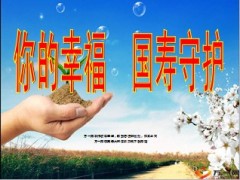 针对康宁客户国寿鑫尊宝特色34页.ppt