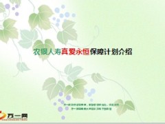 农银人寿真爱永恒保障计划介绍6页.ppt