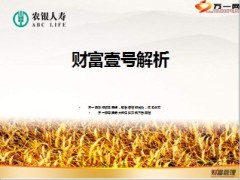 农银人寿财富壹号组合产品解析49页.ppt