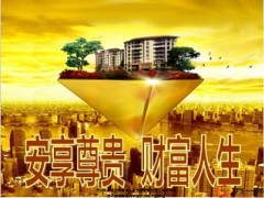 企业白领版理财沙龙产说会农银安享尊贵35页.ppt