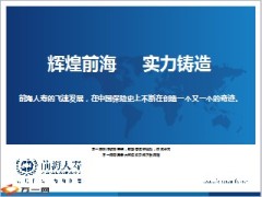前海人寿公司介绍实力展现13页.ppt