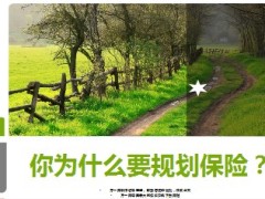 为什么要规划保险14页.ppt