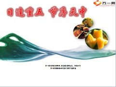2014年端午节保险早会专题23页.ppt