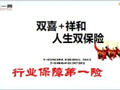 国寿2014新版祥和定期介绍加双喜组合15页.ppt