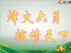 2014年端午节业务奖励方案13页.ppt