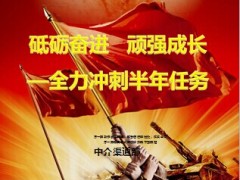 中介渠道部五月总结半年冲刺部署17页.ppt