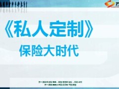 国寿专项私人定制组合保险计划介绍21页.ppt