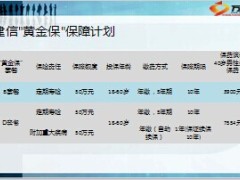建信聚富2号黄金保介绍4页.ppt