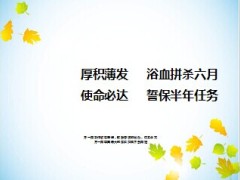 团险冲刺半年任务规划及工作举措13页.ppt