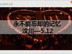 我就是跑保险的保险意义41页.ppt