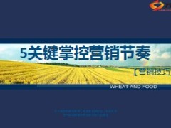 5关键掌控营销节奏10页.ppt