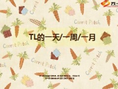 电销主管TL一天一周一月工作8页.ppt