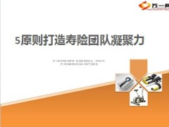 5原则打造寿险团队凝聚力8页.ppt
