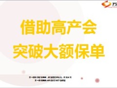 借助高产会突破大额保单37页.ppt