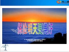 有保险的明天更美好62页.ppt