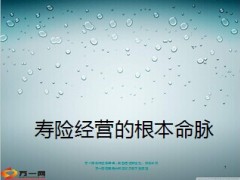 寿险经营分析专业精神透视55页.ppt