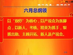 六月绝代风暴战报16页.ppt