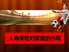 人寿保险对家庭作用9页.ppt