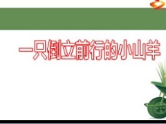 营业部自主经营体系的建设27页.ppt