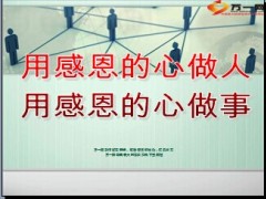 支公司半年工作汇报内外勤队伍建设35页.ppt