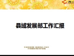 县域发展部半年工作汇报15页.ppt