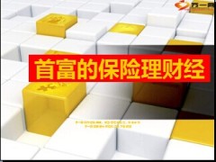 华人首富李嘉诚保险理财经8页.ppt