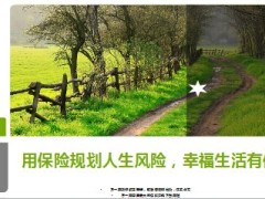 用保险规划人生风险10页.ppt
