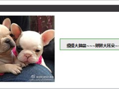 每日快乐早会2014年6月10日使用13页.ppt