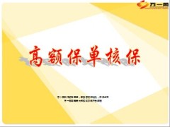 高额保单核保重点作业流程23页.ppt