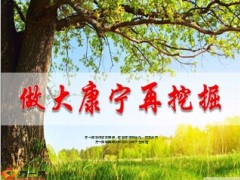 国寿做大康宁再挖掘19页.ppt