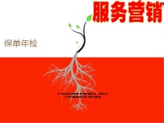 保险年检如何变金矿变黄金27页.ppt