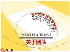团队合作意义特征文化建设17页.ppt