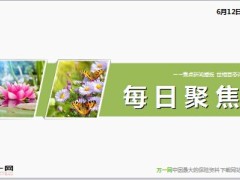 每日新闻早会资讯2014年6月12日早会使用16页.ppt