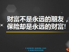 财富不是永远的朋友保险却是永远的财富11页.ppt
