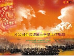 分公司个险渠道三季度工作规划七月安排81页.ppt