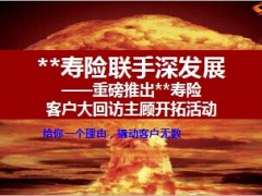 七八联动客户大回访主顾开拓活动53页.ppt