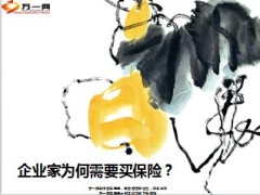 企业家为何需要买保险18页.ppt