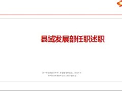 县域发展部任职述职半年总结工作规划15页.PPT